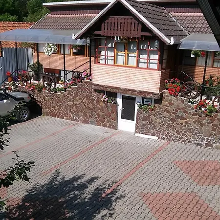 Pensiunea Irina 2*