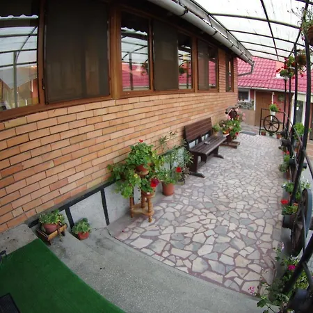 Guest house Pensiunea Irina Brad (Hunedoara)