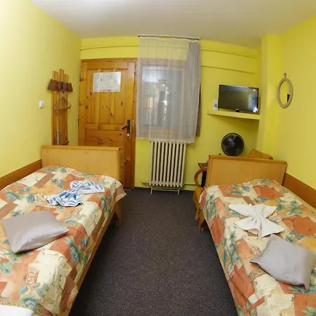 Pensiunea Irina Guest house Brad (Hunedoara)