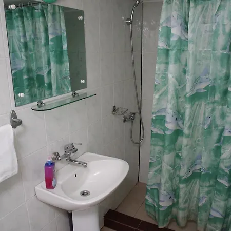 Guest house Pensiunea Irina 2*