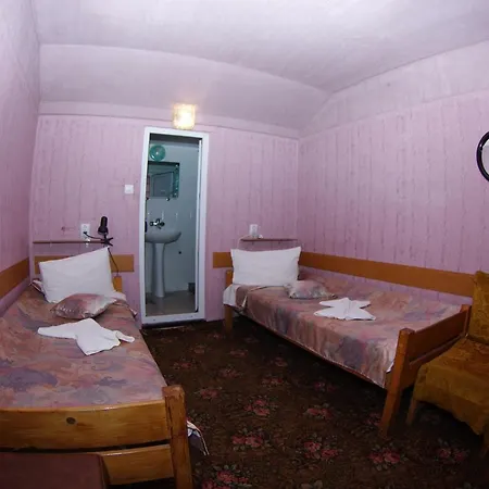 Pensiunea Irina Guest house Brad (Hunedoara)