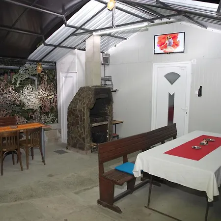 Guest house Pensiunea Irina Brad (Hunedoara)