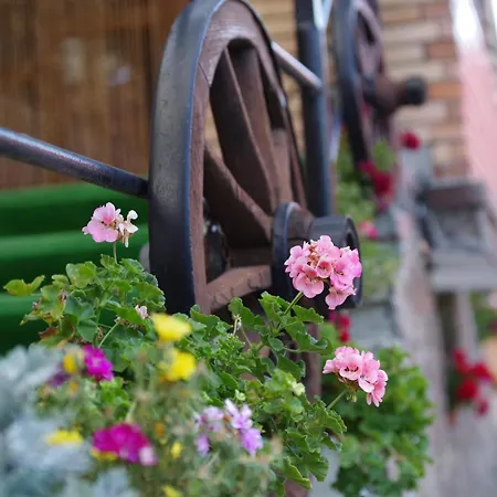 Guest house Pensiunea Irina