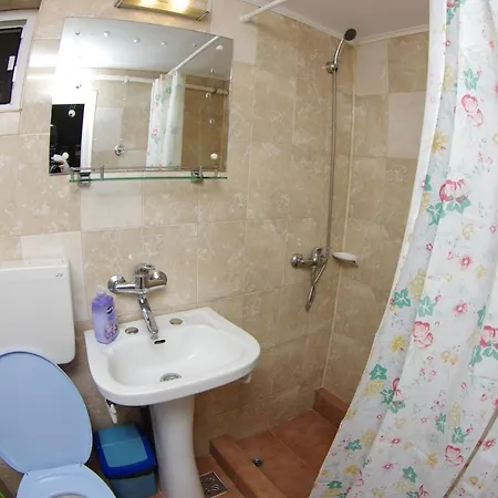 Guest house Pensiunea Irina Brad (Hunedoara)