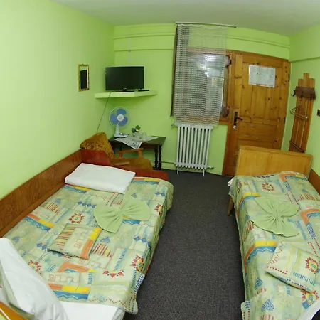 Pensiunea Irina Guest house