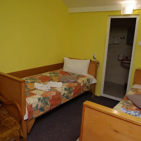 Pensiunea Irina Guest house Brad (Hunedoara)
