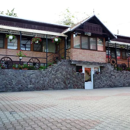 Guest house Pensiunea Irina