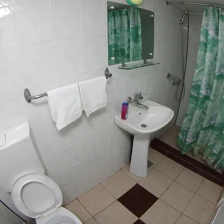 Pensiunea Irina Guest house Brad (Hunedoara)