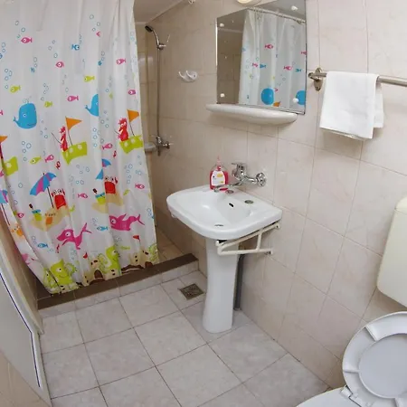 Pensiunea Irina Guest house