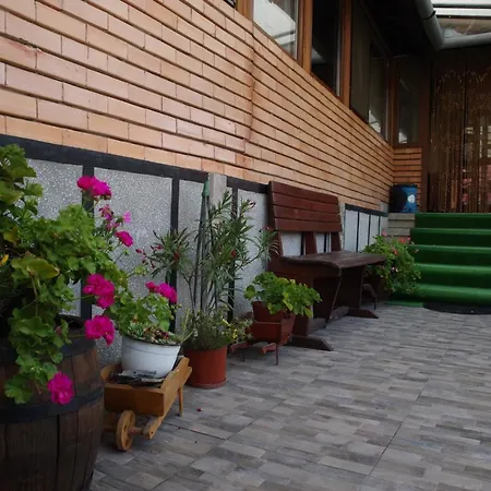 Guest house Pensiunea Irina 2*